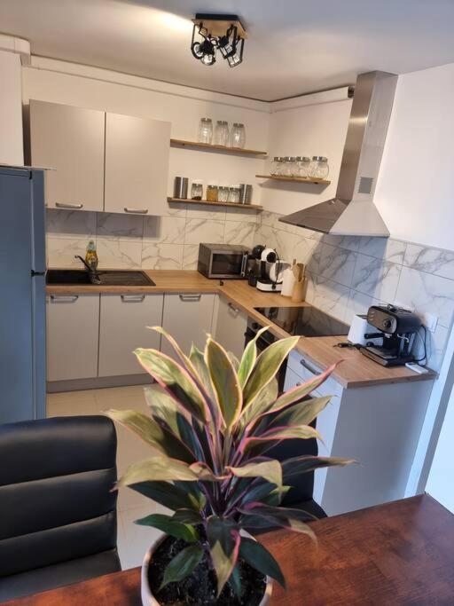 Appartement Vue Mer Avec Parking Gratuit Sur Place バスティア エクステリア 写真